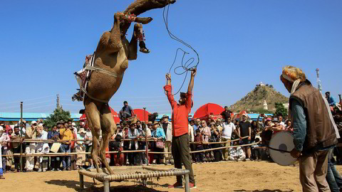 - AFP PICTURES OF THE YEAR 2019 - A camel performs during a "dance competition" held during the Pushkar Camel Fair in Pushkar, in the western state of Rajasthan, on November 5, 2019. - Thousands of livestock traders from the region come to the traditional camel fair where livestock, mainly camels, are traded. The annual camel and livestock fair is one of the world's largest camel fairs. (Photo by Himanshu SHARMA / AFP)
